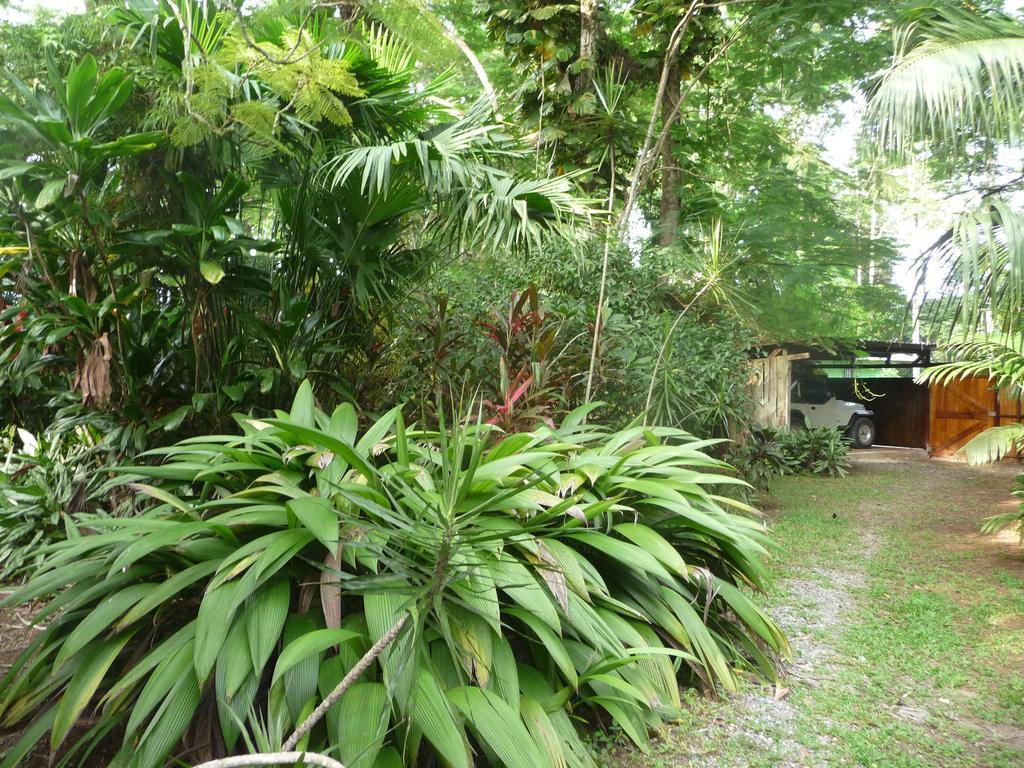 Topos Tree House Cahuita Exterior photo