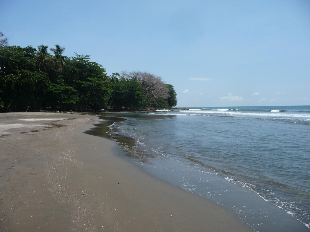 Topos Tree House Cahuita Exterior photo