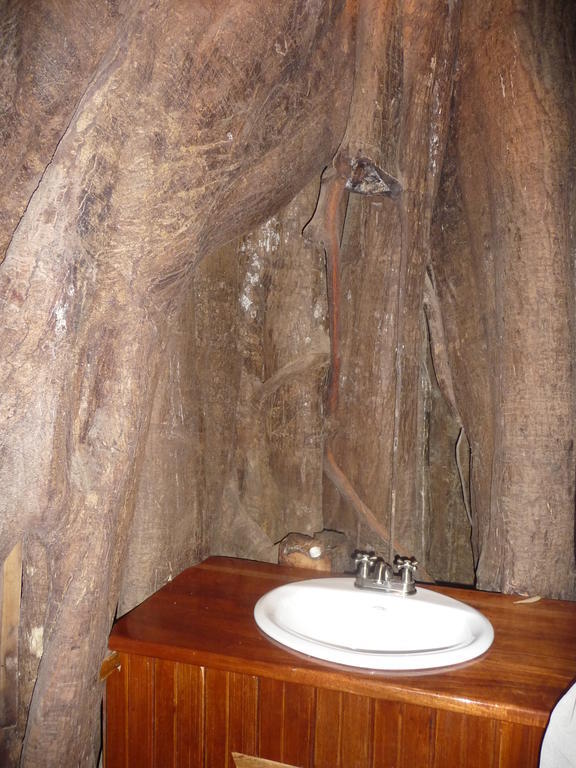 Topos Tree House Cahuita Exterior photo